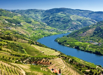 The Douro Valley, one of the most scenic wine regions on Earth and where Port is born.